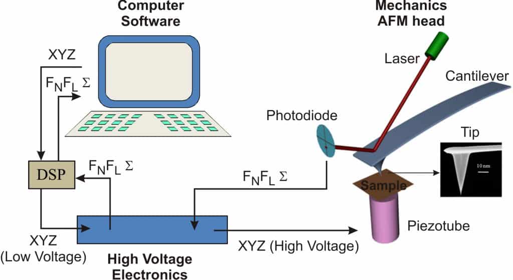 Atomic Force Microscopy | Fernando Moreno Herrero Lab